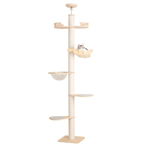 PETTIFUL åȥ ͤĥ  緿ǭ åȥɳ  Ф ¿Ƭ åȥĥ꡼ ˥ ֤  ǭ 淿 ǭ...