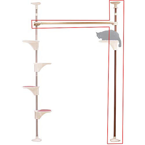 ƥޥ Nekoӥ ƥ—SKY