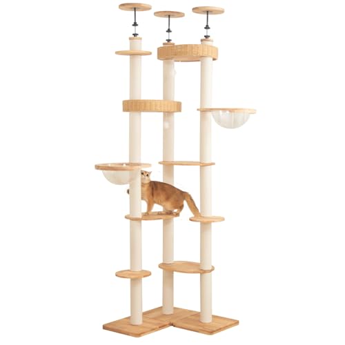 󥺻Genesis㤨PETTIFUL åȥ ͤĥ  ֥󥸲ǽ  Хĥ  緿ǭ  ¿Ƭ ?ŷ ʡŬ 餺 ʥڡ դ ˥ СפβǤʤ34,581ߤˤʤޤ