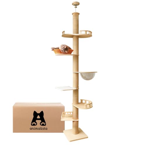 nekolista åȥ e373  ǭ ͤ Ʃ ܥ  ޤȤ ¿߷ 괶 ư­ ȥ쥹 Ŭ  ꥢ ...