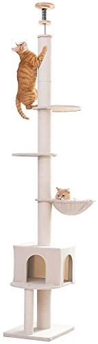 lifesia Ф꥿  åȥ ͤĥ  12CM ǭ 󥰥 鴶 ʥڡ ǭϥ ¿Ƭ ϥå ...