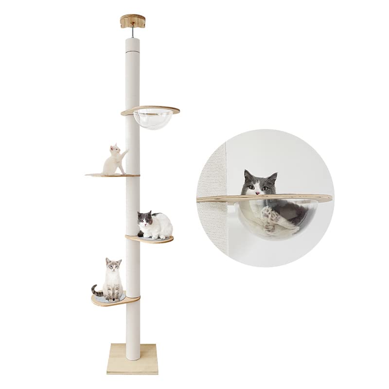 ܥ᡼RAKU Ф꥿ ϥåդ 󥰥 åȥ ͤĥ ǭ ʥڡ ⤵183-208cm 209-229c...