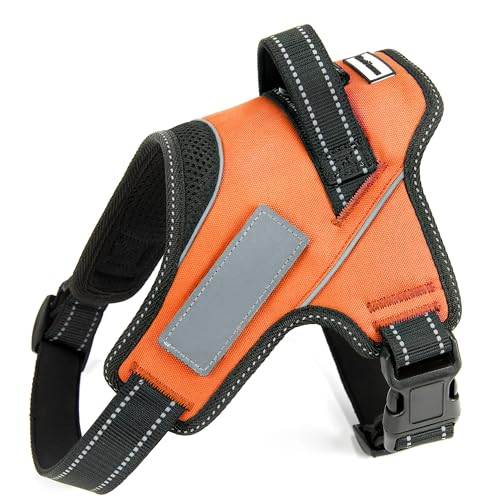 ڥɥåȥ졼ʡLiberte harness  ϡͥ ͥ ͡ץ졼 ɥåϡͥ (M, )