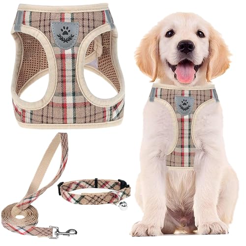 PUPTECK  ϡͥ ꡼ å  ƹ ե ޥåơդ ȿǺդ ڥå ϡͤ ĥɻ ȴʤ ͥ Ĵ...