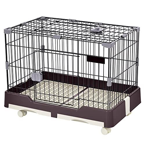 BTM   ǭ ưʪ  Фȥ ݽñ ư 㥹  ŷ æɻ  ͥ ...