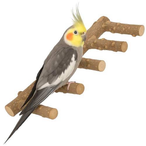 cobalt planet Ļ5ϢȤޤ ŷ Ļ   Ļ å  प Ļ Ļ٤߾   ...