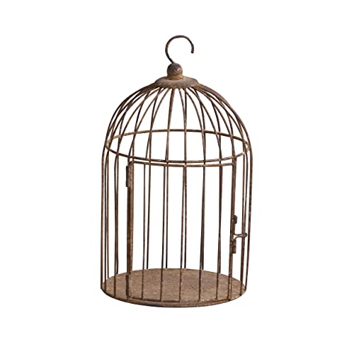 ӥ(Habiter) ƥСɥ 20.537cm