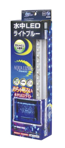 ˥å 30 ֥롼 3.2W  30