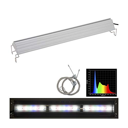  TRIANGLE LED GROW 600 3000lm 60cm   Ǯӵ ꥦ 饤 