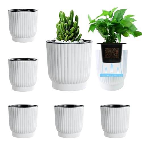 East Leaf ư ץ󥿡 ̵ȭ ȭ ʵ   տʪ  M 11.512cm (6ĥå)