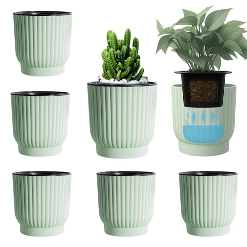 East Leaf ư ץ󥿡 ̵ȭ ȭ ʵ   տʪ  M 11.512cm ꡼ (6ĥå)