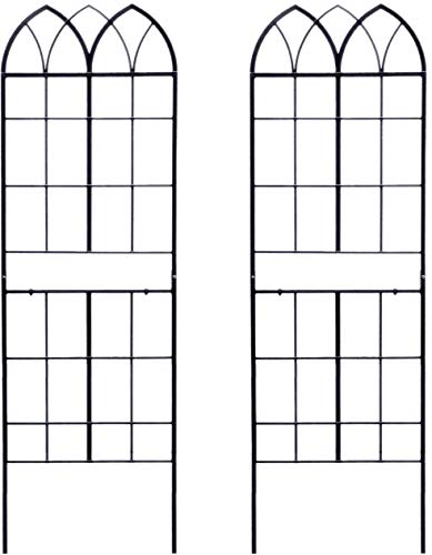 ǥ󥬡ǥ 򥨥쥬Ȥ˺̤ IBե ꡼աС 󥿥 ߥɥ륿 2ȥå ȥꥹ IBF-MO165-2P-BLK