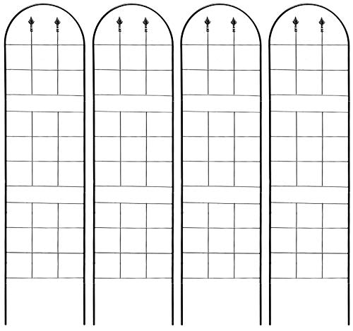 ǥ󥬡ǥ 򥨥쥬Ȥ˺̤ IBե ץ졼 Х ϥ ⤵203.5cm52cm 4祻å ֥å ȥꥹ ...