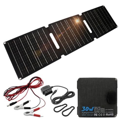 NANASEVEN N30 30W 顼ѥͥ ޤꤿ OBD2б ܼŬ ɿ    ɺ (30w)  ѥ å...