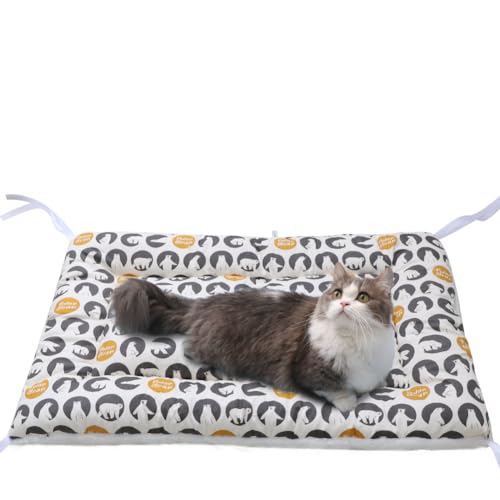 Bidason ڥå å ٥å Ͷɳդ ʤ Ѳǽ С֥ դդ 餫 Ȥ İ  ޥå ڥåѥ...