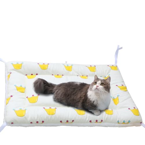 Bidason ڥå å ٥å Ͷɳդ ʤ Ѳǽ С֥ դդ 餫 Ȥ İ  ޥå ڥåѥ...