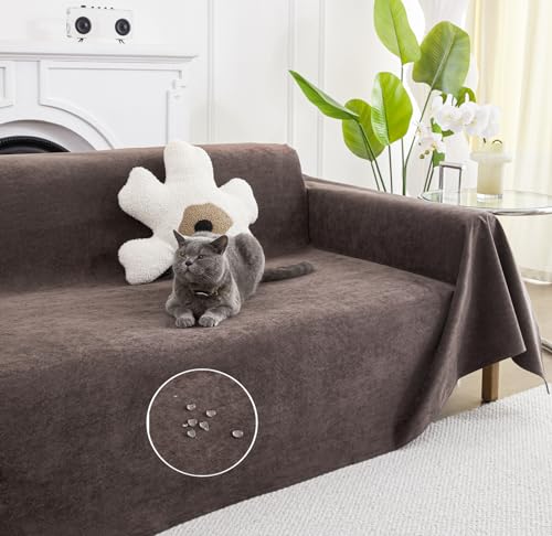 HomeFirst եС ɿ ǭк ޥС Ĺ ù ɻ եС 1ͳݤ ɪդ ɪʤ ɿ ե٥åɥС ...