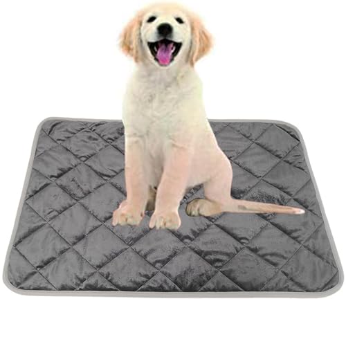 YFFSFDC ڥåȥ٥å ǭ  ޥå Ȥ ڥå ֥󥱥å ۥåȥޥå ʪŪݲ ̲ޥå  к ߾ưʪ  餫 ...