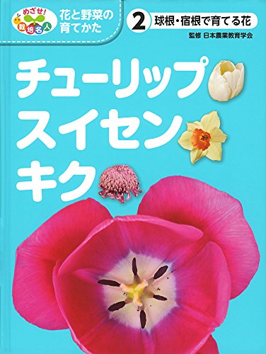 球根・宿根で育てる花 チューリップ・スイセン・キク