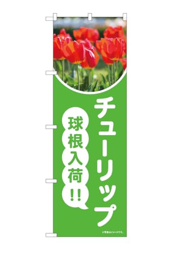 N_Τܤ 84233 塼å׵庬 OTM W600H1800mm 1   ݥ   