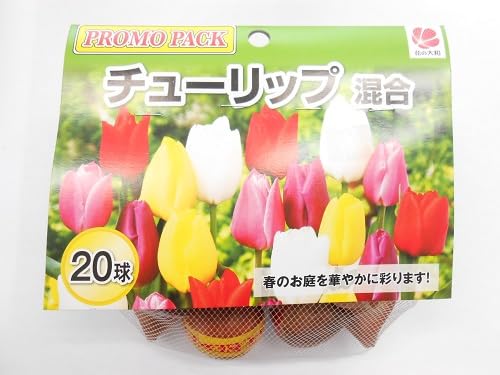 花の大和 チューリップ 球根 混合 20球セット