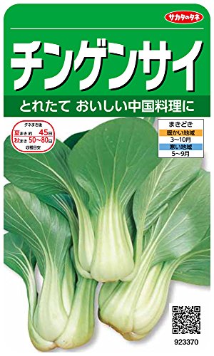 サカタのタネ 実咲野菜3370 チンゲンサイ 00923370