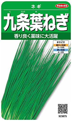 Υ º3875 դͤ ͥ 00923875