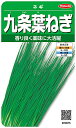 サカタのタネ 実咲野菜3875 九条葉ねぎ ネギ 00923875