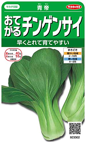 サカタのタネ 実咲野菜3302 おてがるチンゲンサイ 青帝 00923302