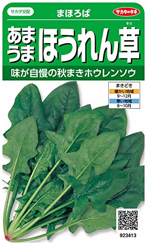 Υ º3413 ޤޤۤ ޤۤ 00923413