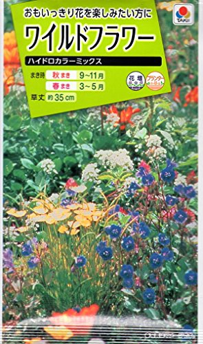  磻ɥեϥɥ顼ߥå