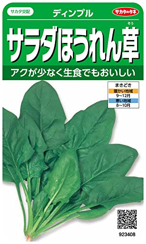 サカタのタネ 実咲野菜3408 サラダほうれん草 ディンプル 00923408