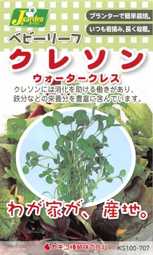 ͥ ݡ KS100꡼ 쥽 쥹 100 707