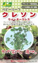 カネコ種苗 園芸・種 KS100シリーズ クレソン ウォータークレス 野菜100 707