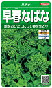 サカタのタネ 実咲野菜3170 早春なばな ハナナ 00923170