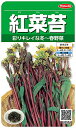 サカタのタネ 実咲野菜3372 紅菜苔