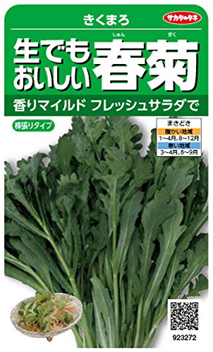 Υ º3272 Ǥ⤪յ ޤ 00923272