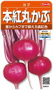サカタのタネ 実咲野菜5571 本紅丸かぶ カブ 00925571