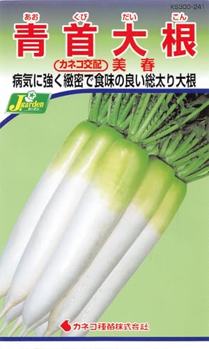 ͥ ݡ KS300꡼ ļ纬 300 241