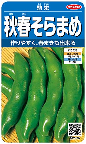 サカタのタネ 実咲野菜7470 秋春そらまめ 駒栄 00927470 青