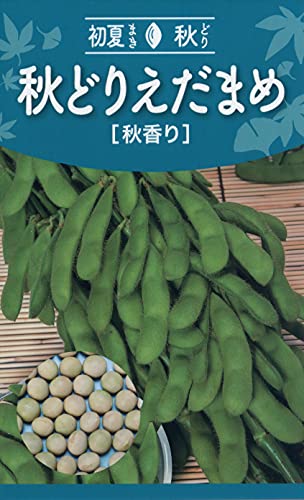 ҥȡۥ ɤꤨޤ  04561