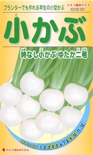 ͥ ݡ KS100꡼  ʤ֤椿 100 521