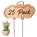 TCYPUHL 金属製植物ラベル、背の高い植物ラベル、庭のラベル 屋外 花、果物、野菜用、ステンレススチール、耐候性(25パック、4インチ x 1.9インチ、ゴ...