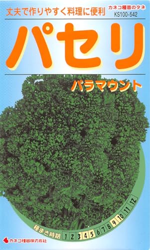 ͥ ݡ KS100꡼ ѥ ѥޥ 100 542