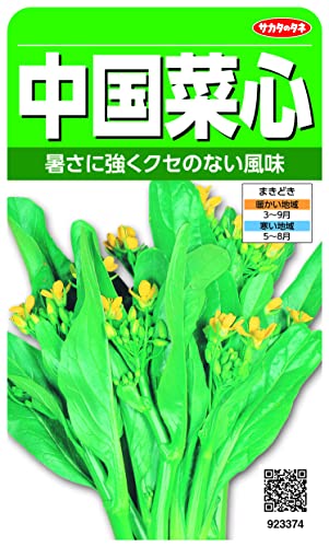 サカタのタネ 実咲野菜3374 中国菜心 00923374