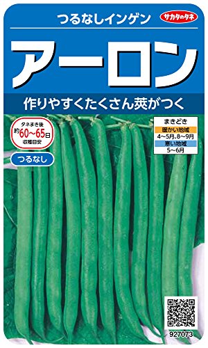 Υ º7073  Ĥʤ󥲥 00927073