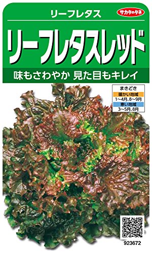 Υ º3672 ꡼ե쥿å ꡼ե쥿 00923672