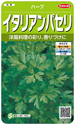 Υ ºϡ8070 ꥢѥ ϡ 00928070