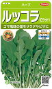 サカタのタネ 実咲ハーブ8089 ルッコラ(ロケット) ハーブ 00928089