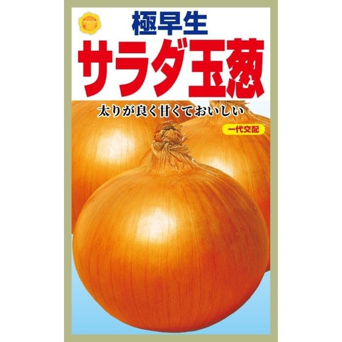 極早生 サラダ玉ねぎの種 太りがよく甘くておいしい
